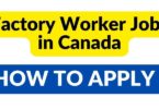 Factory Worker Jobs in Canada - Apply Now