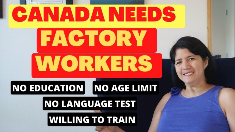 Working in Canada at $30/h with a Free Visa